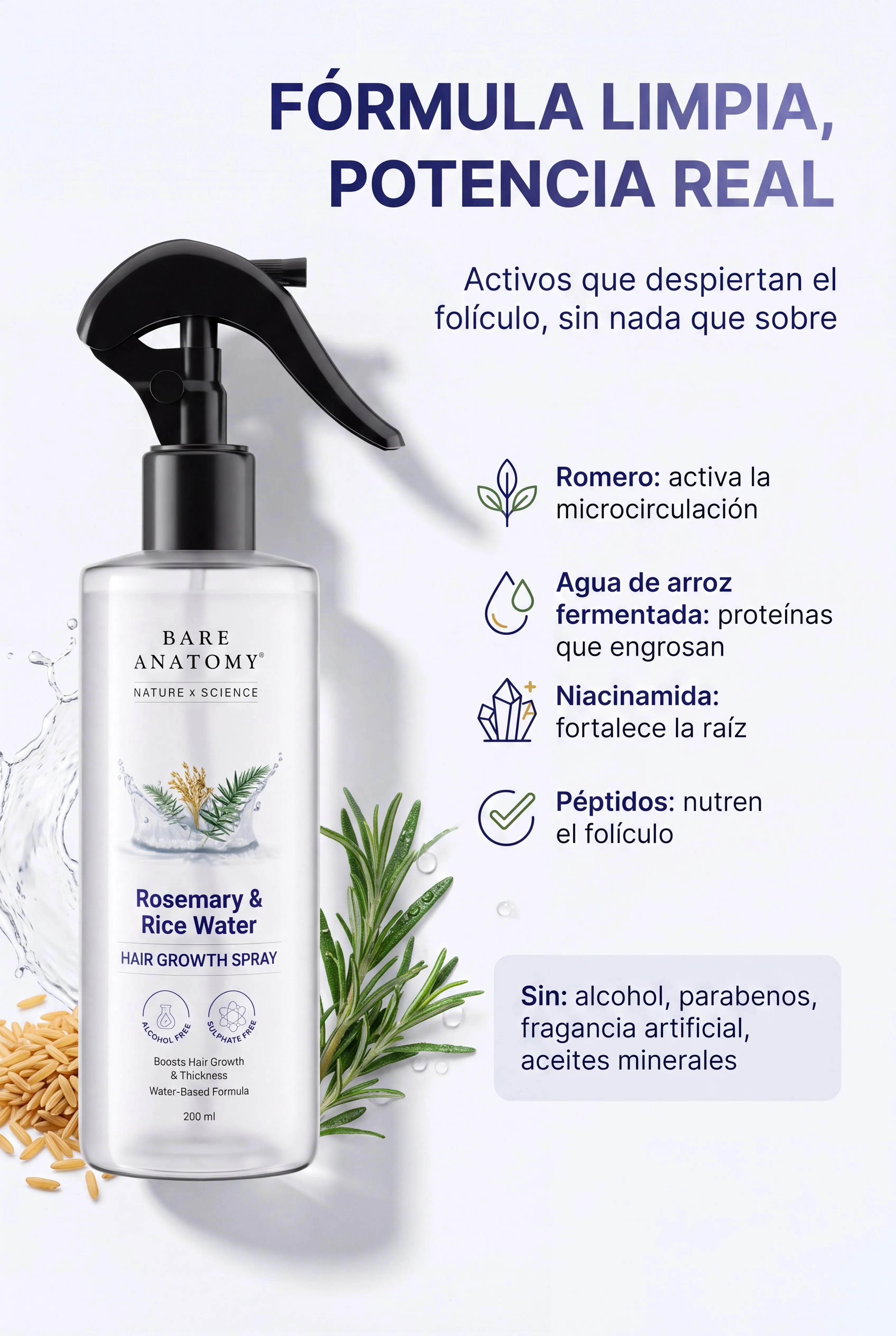 bare-anatomy-rosemary-rice-water 06_ingredientes