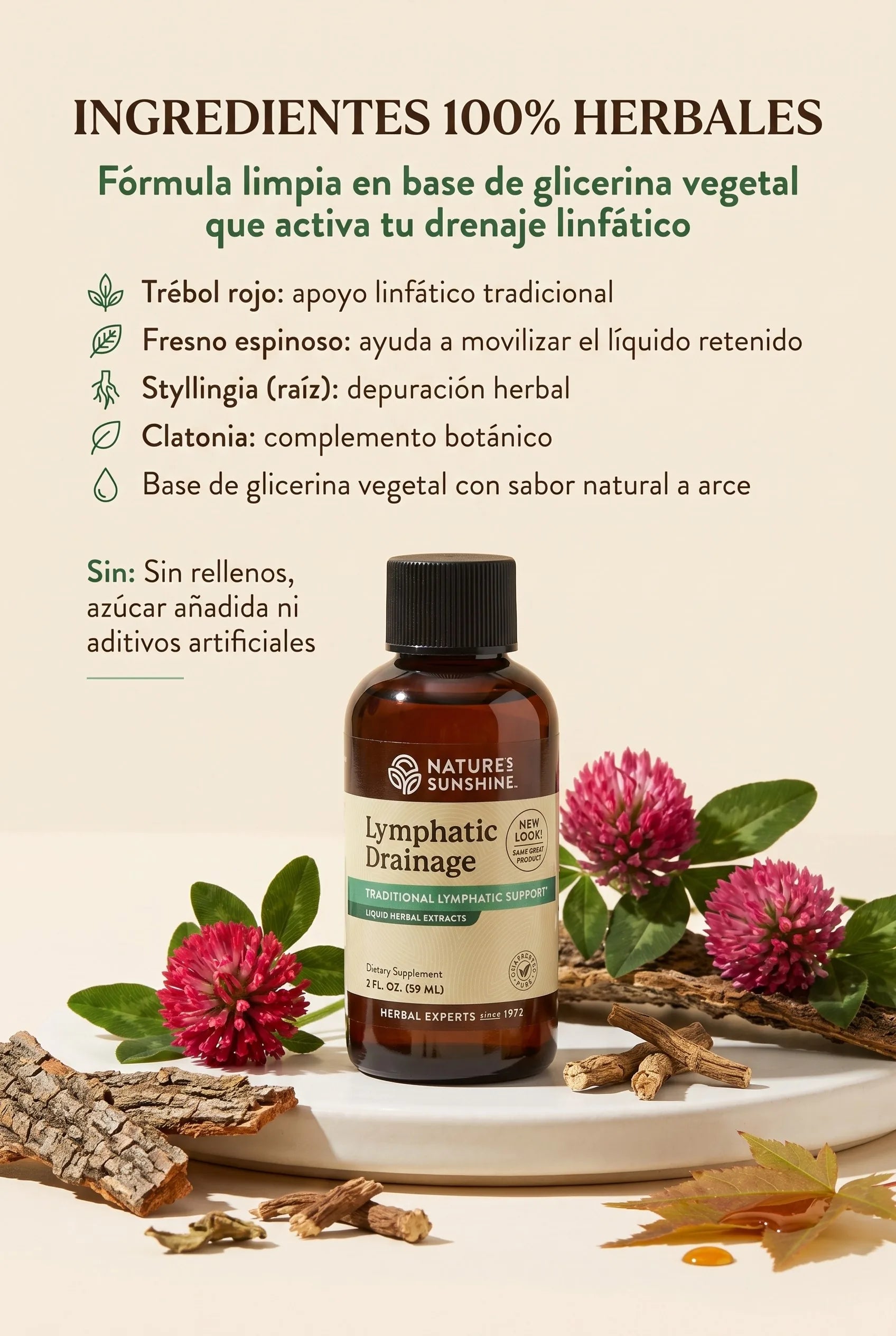 drenaje-linfatico-2x1 06_ingredientes