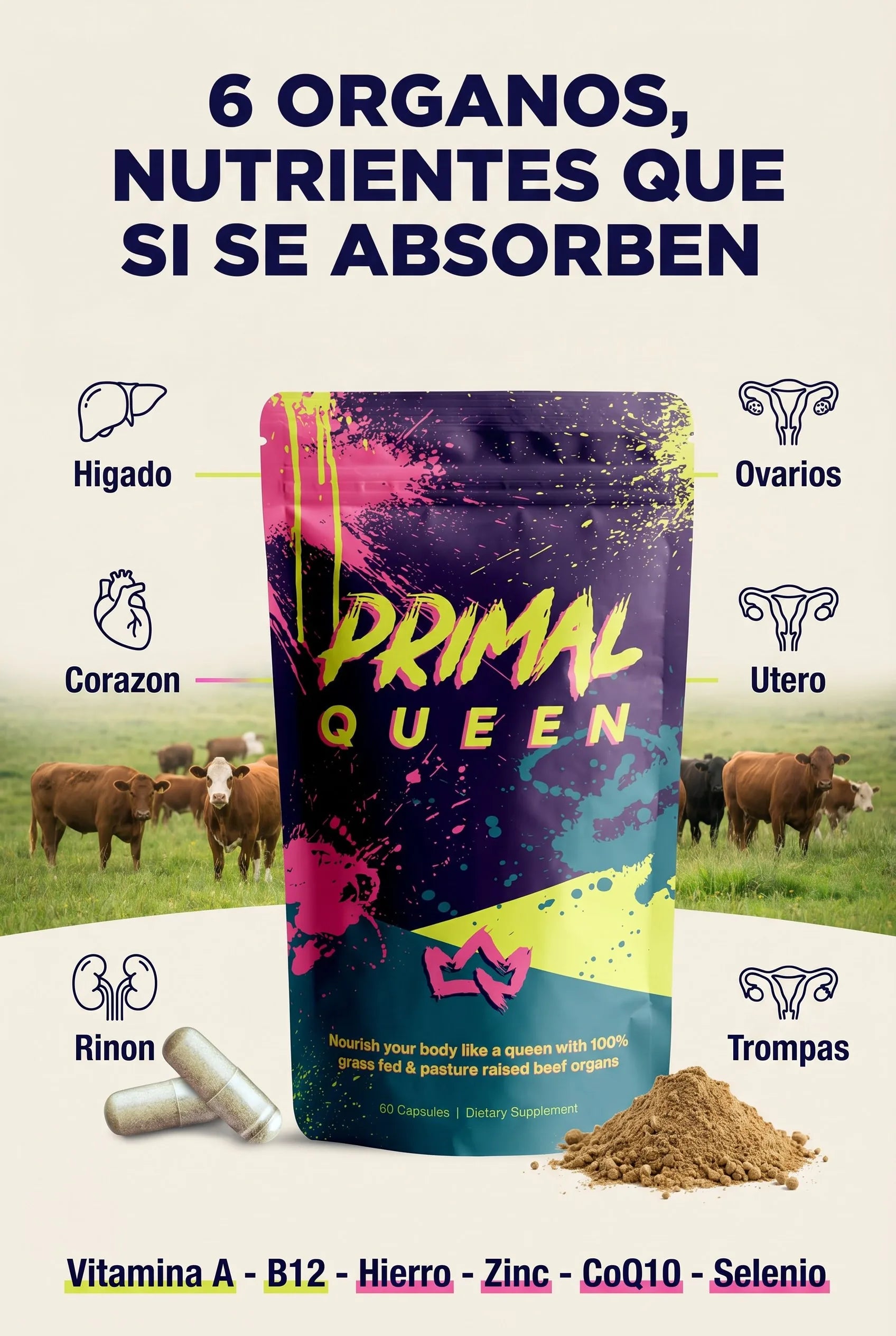 primal-queen 06_ingredientes